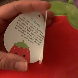 Unicorn and Strawberry Squishmallows